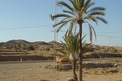 Tunisko 2006, Djerba, Foto: Jiří Hausner