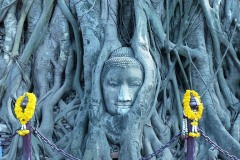 Thajsko - Ayutthaya - foto Eva Čančíková